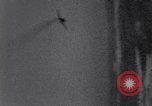 Standbild 8 Air Force Deutschland, 1944, aus Sekunde 31 historischem Filmmaterial Videoclip 65675034800