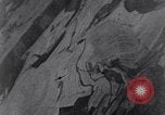Standbild 8 Air Force Deutschland, 1944, aus Sekunde 29 historischem Filmmaterial Videoclip 65675034802