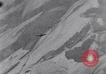 Standbild 8 Air Force Deutschland, 1944, aus Sekunde 37 historischem Filmmaterial Videoclip 65675034802