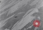 Standbild 8 Air Force Deutschland, 1944, aus Sekunde 38 historischem Filmmaterial Videoclip 65675034802