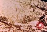 Image of Marines Saipan Northern Mariana Islands, 1944, second 1 stock footage video 65675034832