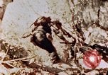 Image of Marines Saipan Northern Mariana Islands, 1944, second 4 stock footage video 65675034832