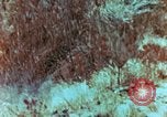Image of Marines Saipan Northern Mariana Islands, 1944, second 14 stock footage video 65675034832