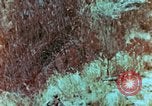 Image of Marines Saipan Northern Mariana Islands, 1944, second 16 stock footage video 65675034832