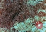 Image of Marines Saipan Northern Mariana Islands, 1944, second 17 stock footage video 65675034832