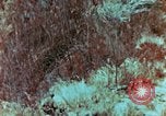 Image of Marines Saipan Northern Mariana Islands, 1944, second 18 stock footage video 65675034832
