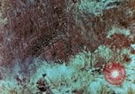 Image of Marines Saipan Northern Mariana Islands, 1944, second 19 stock footage video 65675034832