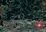Image of Marines Saipan Northern Mariana Islands, 1944, second 20 stock footage video 65675034832