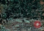 Image of Marines Saipan Northern Mariana Islands, 1944, second 24 stock footage video 65675034832