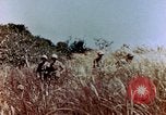 Image of Marines Saipan Northern Mariana Islands, 1944, second 41 stock footage video 65675034832