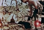 Image of Marines Saipan Northern Mariana Islands, 1944, second 51 stock footage video 65675034832