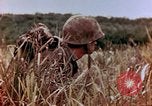 Image of Marines Saipan Northern Mariana Islands, 1944, second 7 stock footage video 65675034833