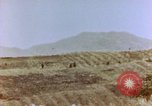 Image of Marines Saipan Northern Mariana Islands, 1944, second 28 stock footage video 65675034833