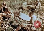 Image of prisoners Saipan Northern Mariana Islands, 1944, second 3 stock footage video 65675034834