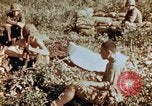 Image of prisoners Saipan Northern Mariana Islands, 1944, second 4 stock footage video 65675034834