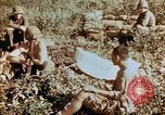 Image of prisoners Saipan Northern Mariana Islands, 1944, second 6 stock footage video 65675034834