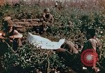 Image of prisoners Saipan Northern Mariana Islands, 1944, second 11 stock footage video 65675034834