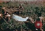 Image of prisoners Saipan Northern Mariana Islands, 1944, second 12 stock footage video 65675034834