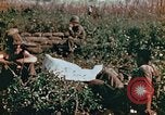 Image of prisoners Saipan Northern Mariana Islands, 1944, second 13 stock footage video 65675034834
