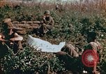 Image of prisoners Saipan Northern Mariana Islands, 1944, second 14 stock footage video 65675034834