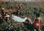 Image of prisoners Saipan Northern Mariana Islands, 1944, second 15 stock footage video 65675034834