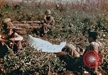 Image of prisoners Saipan Northern Mariana Islands, 1944, second 16 stock footage video 65675034834