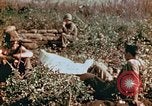 Image of prisoners Saipan Northern Mariana Islands, 1944, second 17 stock footage video 65675034834