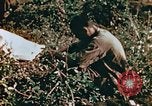 Image of prisoners Saipan Northern Mariana Islands, 1944, second 18 stock footage video 65675034834