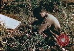 Image of prisoners Saipan Northern Mariana Islands, 1944, second 19 stock footage video 65675034834
