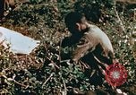 Image of prisoners Saipan Northern Mariana Islands, 1944, second 21 stock footage video 65675034834