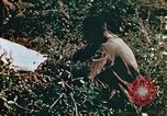 Image of prisoners Saipan Northern Mariana Islands, 1944, second 24 stock footage video 65675034834