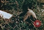 Image of prisoners Saipan Northern Mariana Islands, 1944, second 25 stock footage video 65675034834