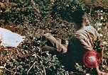 Image of prisoners Saipan Northern Mariana Islands, 1944, second 27 stock footage video 65675034834