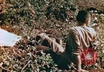 Image of prisoners Saipan Northern Mariana Islands, 1944, second 28 stock footage video 65675034834