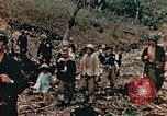 Image of prisoners Saipan Northern Mariana Islands, 1944, second 34 stock footage video 65675034834