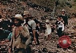 Image of prisoners Saipan Northern Mariana Islands, 1944, second 41 stock footage video 65675034834