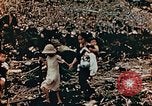 Image of prisoners Saipan Northern Mariana Islands, 1944, second 46 stock footage video 65675034834