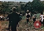 Image of prisoners Saipan Northern Mariana Islands, 1944, second 51 stock footage video 65675034834