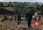Image of prisoners Saipan Northern Mariana Islands, 1944, second 56 stock footage video 65675034834