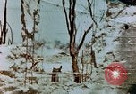 Image of Marines Saipan Northern Mariana Islands, 1944, second 1 stock footage video 65675034835