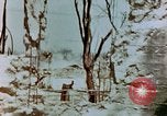 Image of Marines Saipan Northern Mariana Islands, 1944, second 3 stock footage video 65675034835