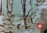 Image of Marines Saipan Northern Mariana Islands, 1944, second 4 stock footage video 65675034835