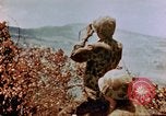 Image of Marines Saipan Northern Mariana Islands, 1944, second 19 stock footage video 65675034835