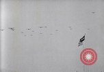 Image foule montres formation d'avions sur le Jour commémoratif de l'air Hollywood California USA, 1919, de la seconde 46 séquences d'archives historiques vidéo 65675034841