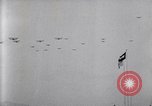 Image foule montres formation d'avions sur le Jour commémoratif de l'air Hollywood California USA, 1919, de la seconde 47 séquences d'archives historiques vidéo 65675034841