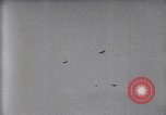 Standbild Flying Team führt Kunstflug auf Luft Memorial Day Hollywood California De Mille Field USA, 1919, aus Sekunde 47 historischem Filmmaterial Videoclip 65675034845