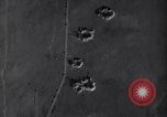 Image avions B-25 la Tunisie en Afrique du Nord, 1942, de la seconde 48 séquences d'archives historiques vidéo 65675034862