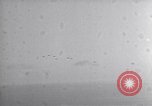 Standbild B-24 Flugzeuge Neapel Italien, 1943, aus Sekunde 33 historischem Filmmaterial Videoclip 65675034864