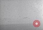 Standbild B-24 Flugzeuge Neapel Italien, 1943, aus Sekunde 34 historischem Filmmaterial Videoclip 65675034864