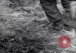 Image of German troops France, 1944, second 29 stock footage video 65675034866